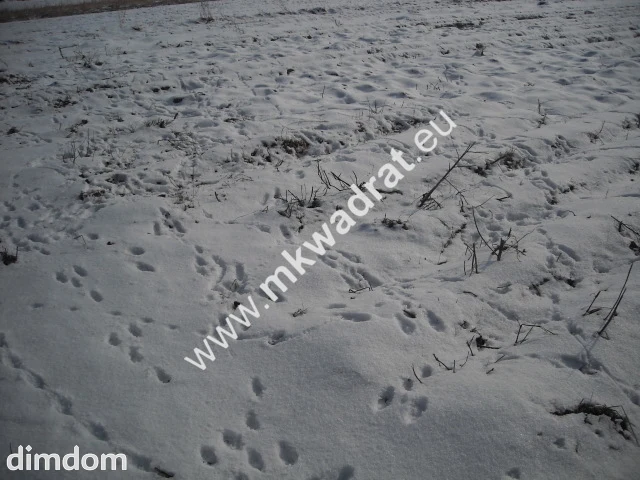 Działka inwestycyjna w miejscowości Płochocin o pow. 3000 m2. Istnieje możliwość połączenia z… - 18495716.jpg