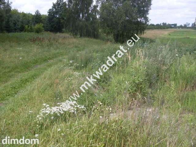 Działka o pow. 11124m2 o szer. 20m w Mszczonowie (+ 2 działki obok siebie do kupienia-łączna szer.…
