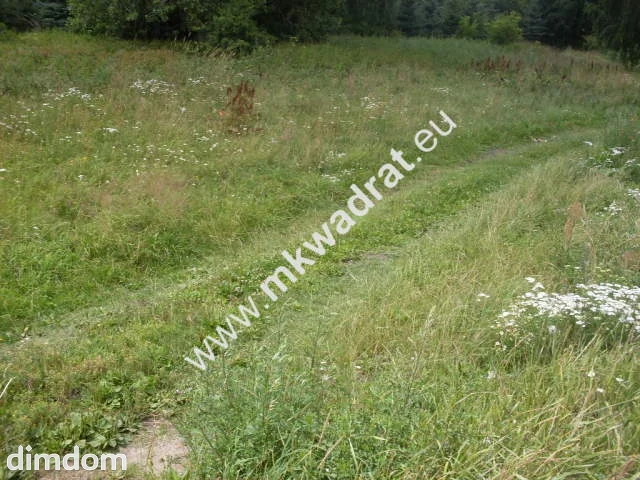 Działka o pow. 11124m2 o szer. 20m w Mszczonowie (+ 2 działki obok siebie do kupienia-łączna szer.… - 2