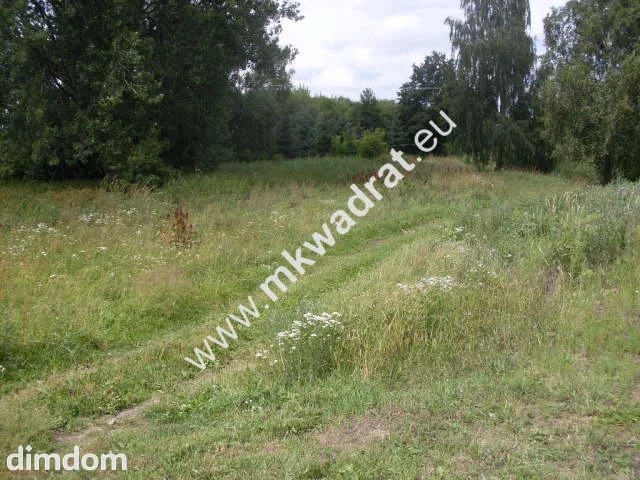 Działka o pow. 11124m2 o szer. 20m w Mszczonowie (+ 2 działki obok siebie do kupienia-łączna szer.… - 4