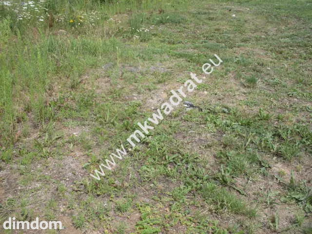 Działka o pow. 11124m2 o szer. 20m w Mszczonowie (+ 2 działki obok siebie do kupienia-łączna szer.… - 5