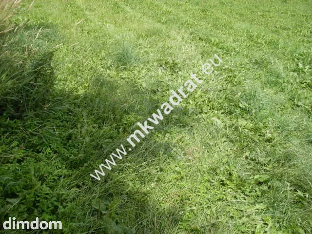 Działka o pow. 11124m2 o szer. 20m w Mszczonowie (+ 2 działki obok siebie do kupienia-łączna szer.… - 3