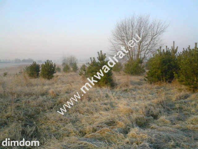 Teren pod inwestycje w gm.Teresin