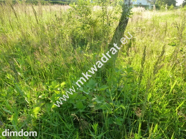 Działka budowlana objęta miejscowym planem zagospodarowania terenu z przeznaczeniem pod budownictwo… - 4