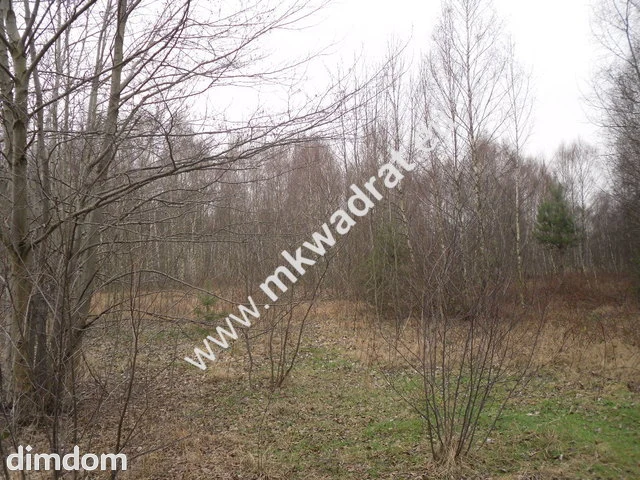 Ten wyjątkowo piękny teren podzielony jest na 8 działek budowlanych od 1294 m2 do 1113 m2.… - 3