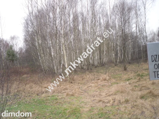 Ten wyjątkowo piękny teren podzielony jest na 8 działek budowlanych od 1294 m2 do 1113 m2.… - 2