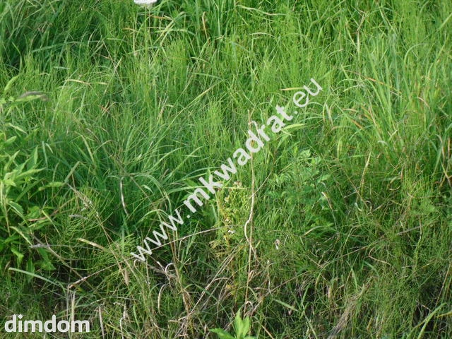 Do sprzedania dwie śliczne działki  z wylaną płytą fundamentową  pod bliźniaka -440 m2 i… - 27686485.jpg