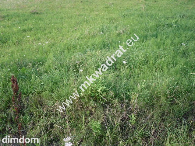 Do sprzedania dwie śliczne działki  z wylaną płytą fundamentową  pod bliźniaka -440 m2 i… - 2