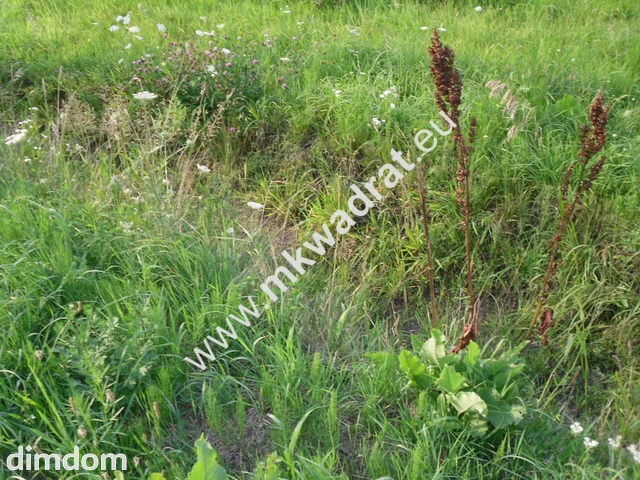 Do sprzedania dwie śliczne działki  z wylaną płytą fundamentową  pod bliźniaka -440 m2 i… - 3