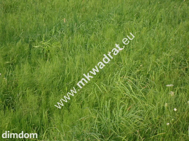 Do sprzedania dwie śliczne działki  z wylaną płytą fundamentową  pod bliźniaka -440 m2 i… - 5