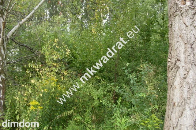 Do sprzedania działka o powierzchni 3830 m2, położona ok. 1 km od kompleksu leśnego i zalewu… - 5