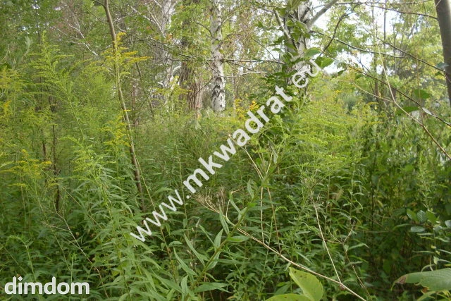 Do sprzedania działka o powierzchni 3830 m2, położona ok. 1 km od kompleksu leśnego i zalewu… - 2