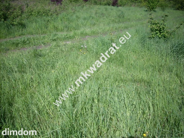Bardzo ładna działka budowlana o powierzchni 6 000 m.kw. (działka jest już podzielona) w…