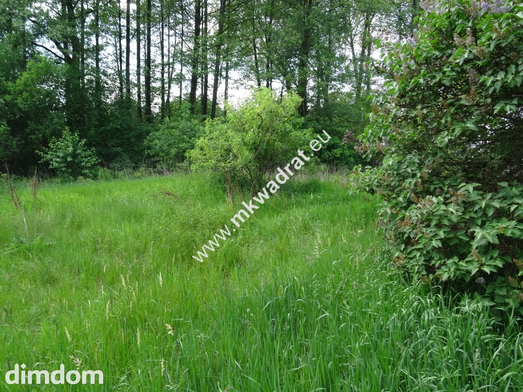 ⭐⭐⭐⭐⭐ Dwie działki 1900 + 3600m2 ⭐⭐⭐⭐⭐