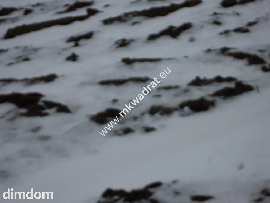 Działka 6450 m2 z domem i halą.