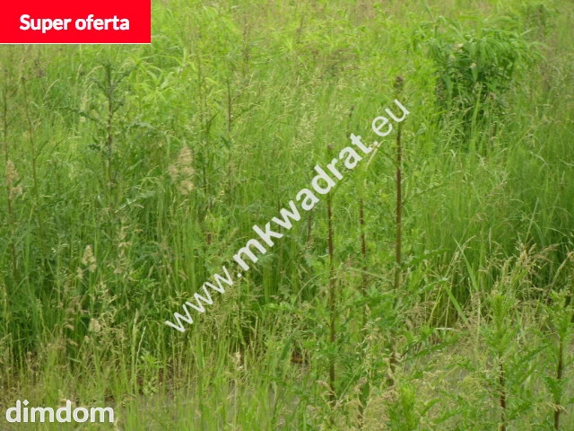 Zachwycająca działka w Żelazowej Woli