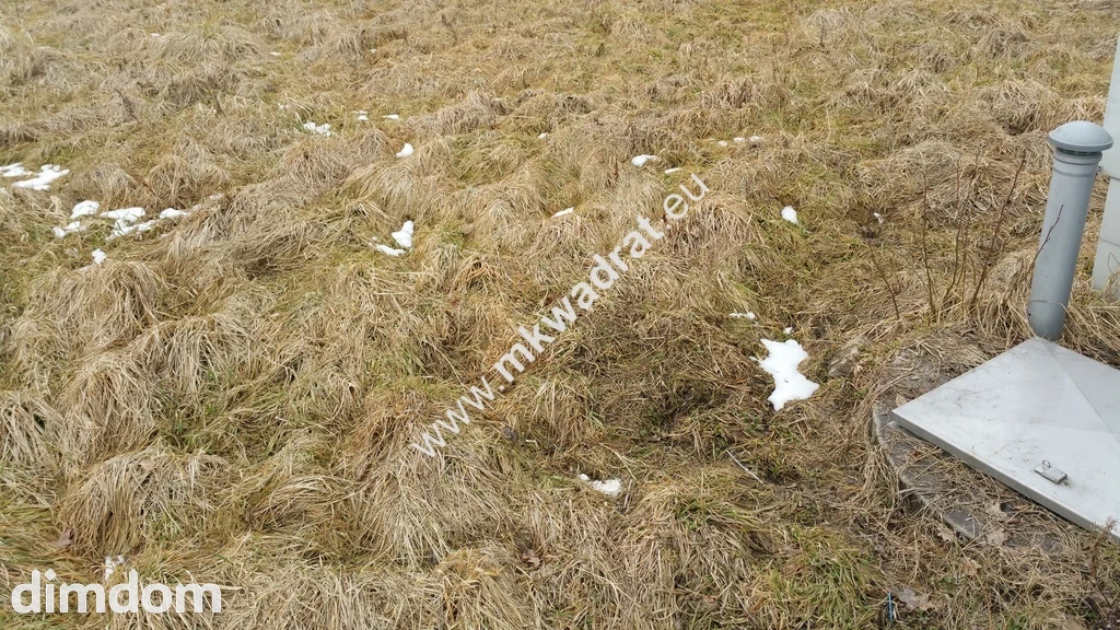 Duża, słoneczna, tania!