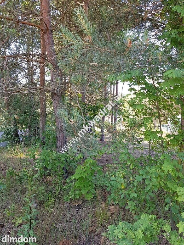 Działka budowlana  + warunki zabudowy + PKP