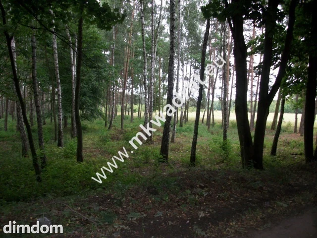 Działka rolna 13 600 m² Żabia Wola