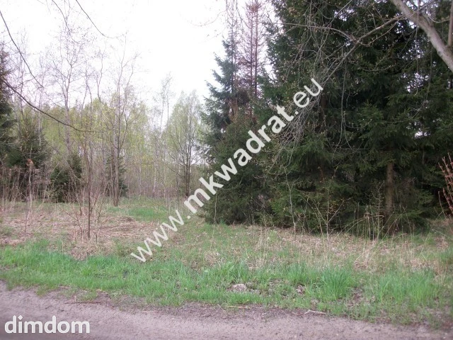 Działka budowlana 4700 m2 Grzmiąca