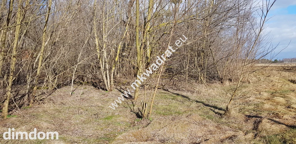 Działki w okol. Sochaczewa MEDIA!! Warto!