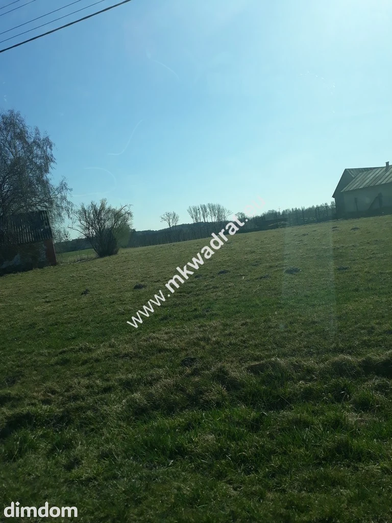 Działka położona w miejscowości Kurantów gmina Radziejowice. Składa się z trzech działek… - 86244079.jpg
