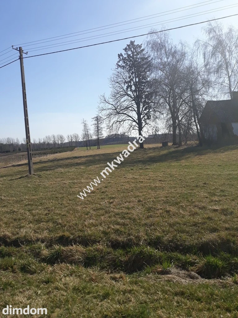 Działka położona w miejscowości Kurantów gmina Radziejowice. Składa się z trzech działek… - 4