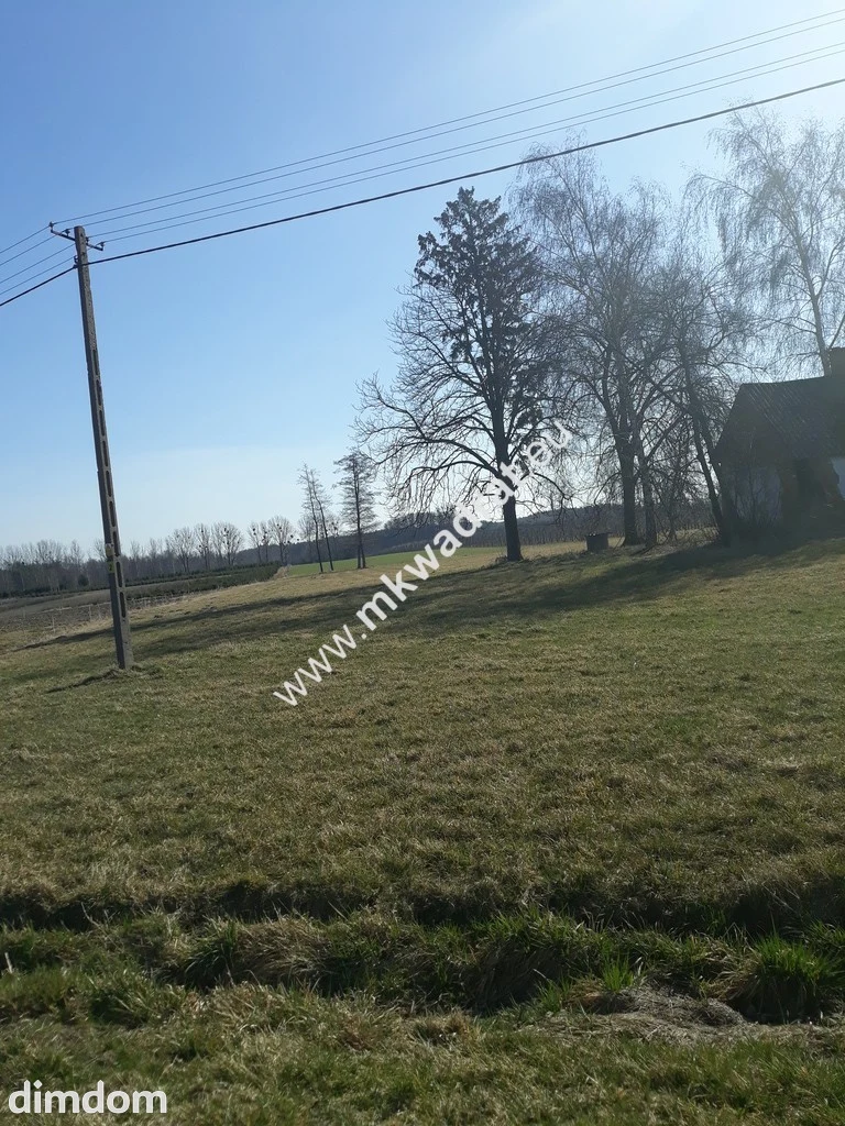 Działka położona w miejscowości Kurantów gmina Radziejowice. Składa się z trzech działek… - 5