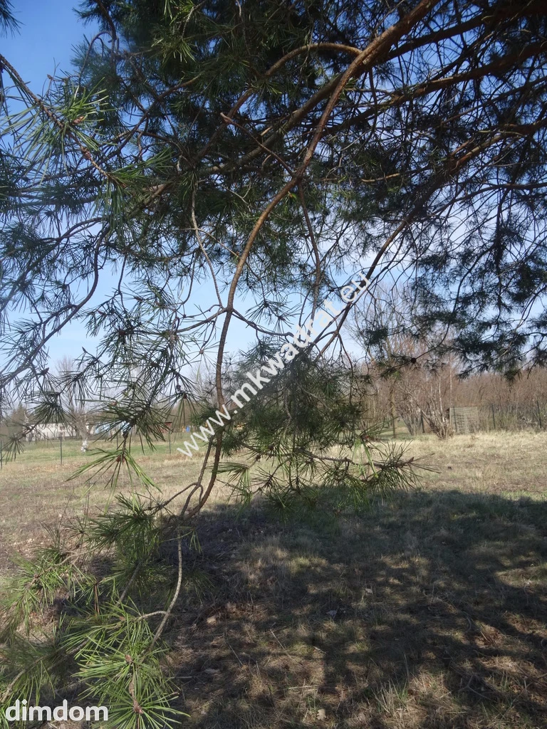 Działka blisko zbiornika komorowskiego
