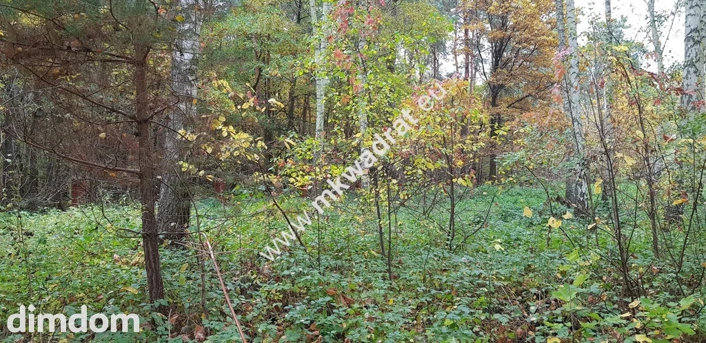 DZIAŁKA  leśna z prawem zabudowy droga gminna