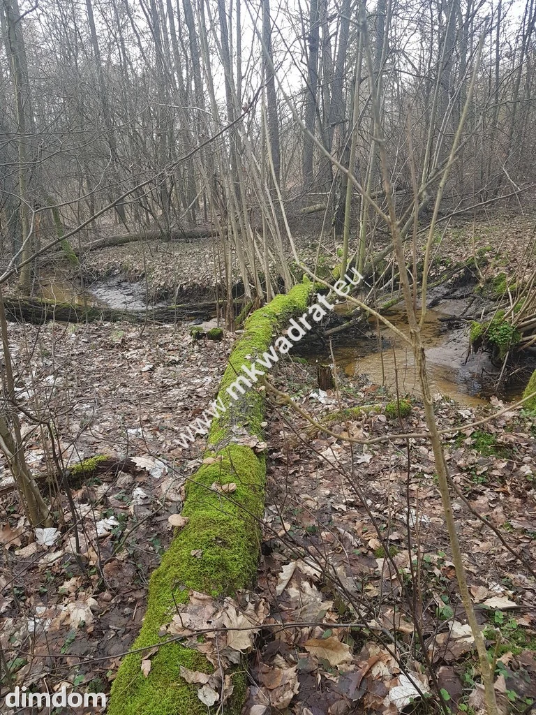 ⭐⭐⭐⭐2500 m2 urokliwa działka przy lesie z MPZP⭐⭐⭐⭐