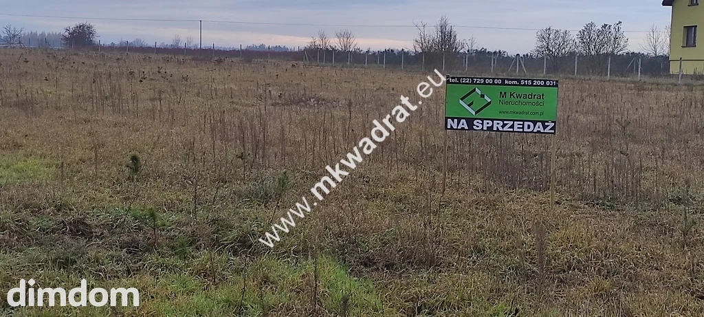 Podział 4 działek 8264m² Tłumy gm Mszczów MPZP 3MN