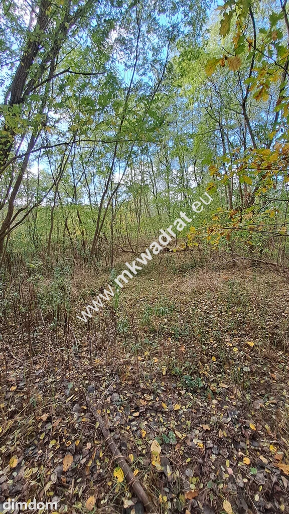 ⭐⭐⭐⭐⭐ SUPER - budowlana 1000m2 Pod Kampinosem