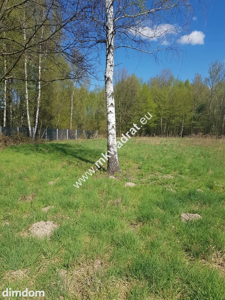 Działka - druga linia zabudowy
