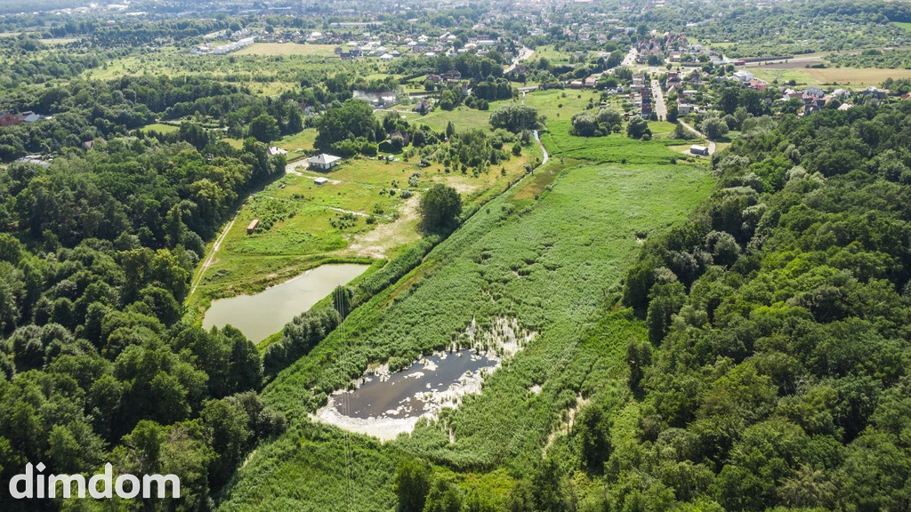 Prawie 7 ha w Żarach za 7.99 zł/m² - 113682288.jpg
