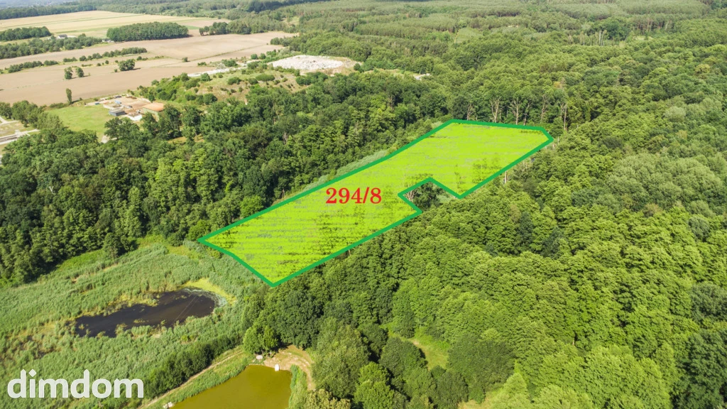 Prawie 7 ha w Żarach za 7.99 zł/m² - 2