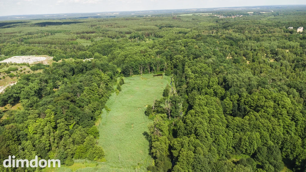 Prawie 7 ha w Żarach za 7.99 zł/m² - 3