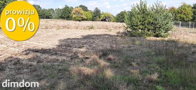 Urokliwa działka z widokiem na las- Letnica - 5