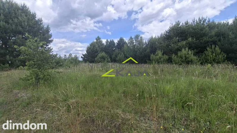 Kosobudz – działki w pobliżu lasu i jezior - 113353119.jpg