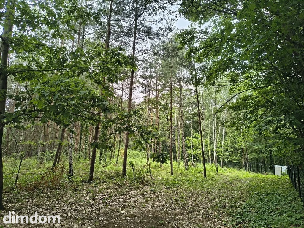 OKAZJA 160zł/m2 Sokolniki- Las