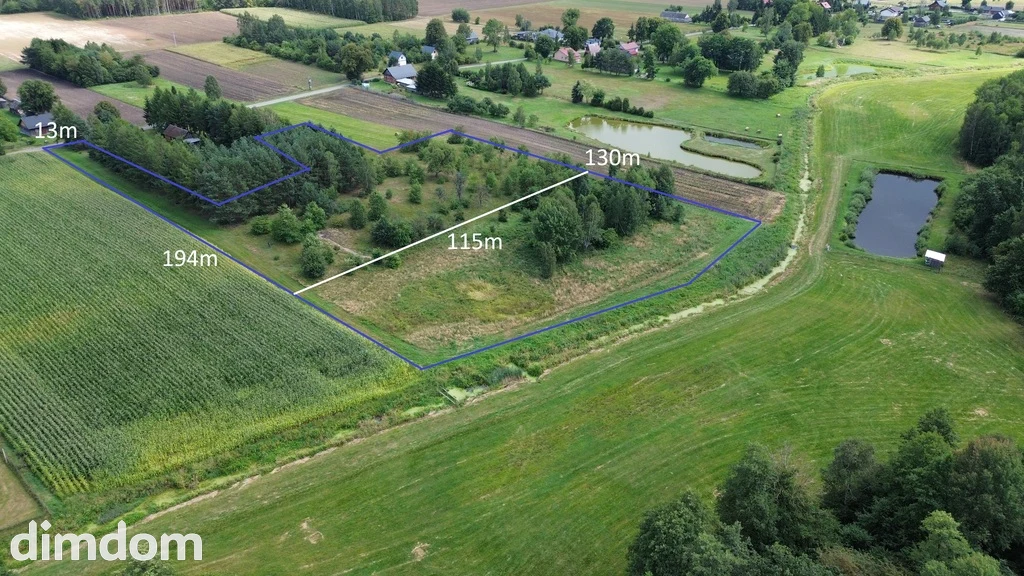 Działka,Luta, Włodawa, 1,5 ha, budowlana, urokliwa