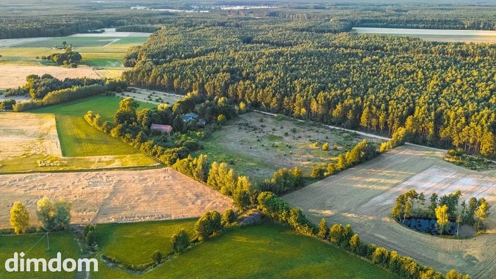 Widok na las, 5 min od miasta