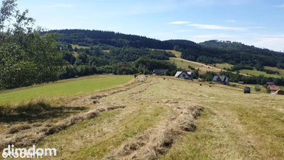 Działka w Górach Sowich