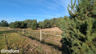 75 arów | 7 ar MN + 68 ar rolnych | Kazimierzów