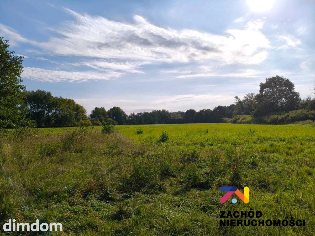 Oferujemy na sprzedaż działkę rolną o powierzchni 4,04 Ha zlokalizowaną w gm. Zabór w miejscowości Przytok. - 168320227-1l.jpg