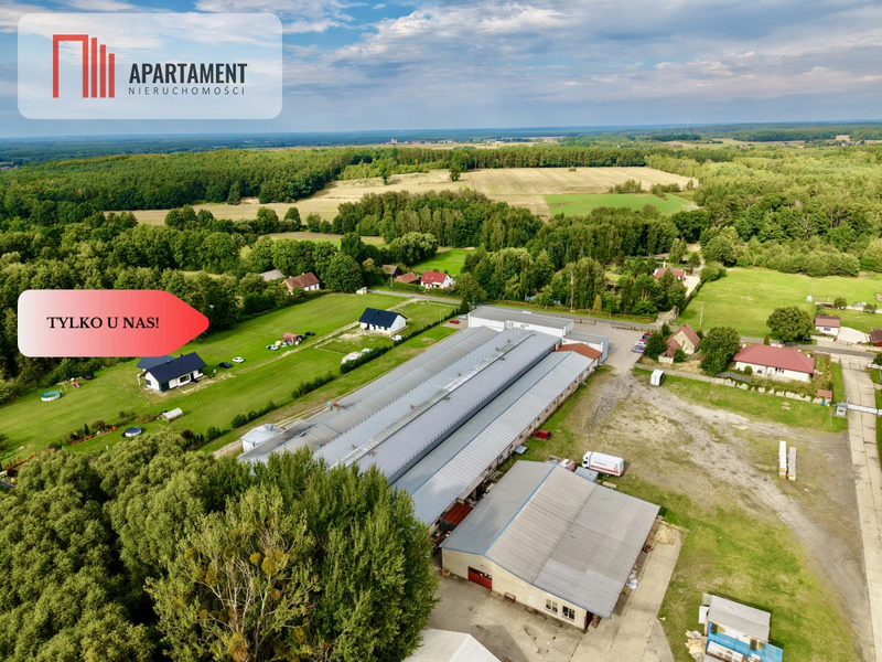 POD DZIAŁALNOŚĆ PRZEMYSŁOWĄ! BIUROWIEC Z MAGAZYNEM - dd_18eeaa1f_ls_225804_1.jpg