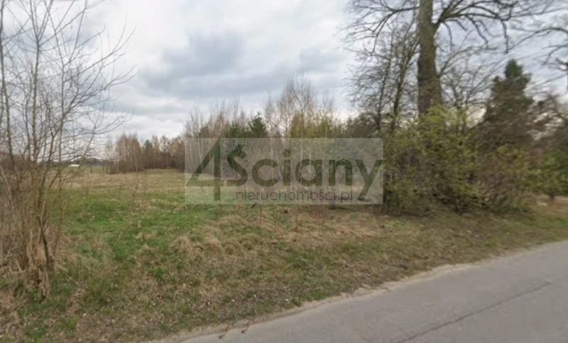 Urocza działka blisko Parku i Pałacu Radziejowice - 115640098.jpg