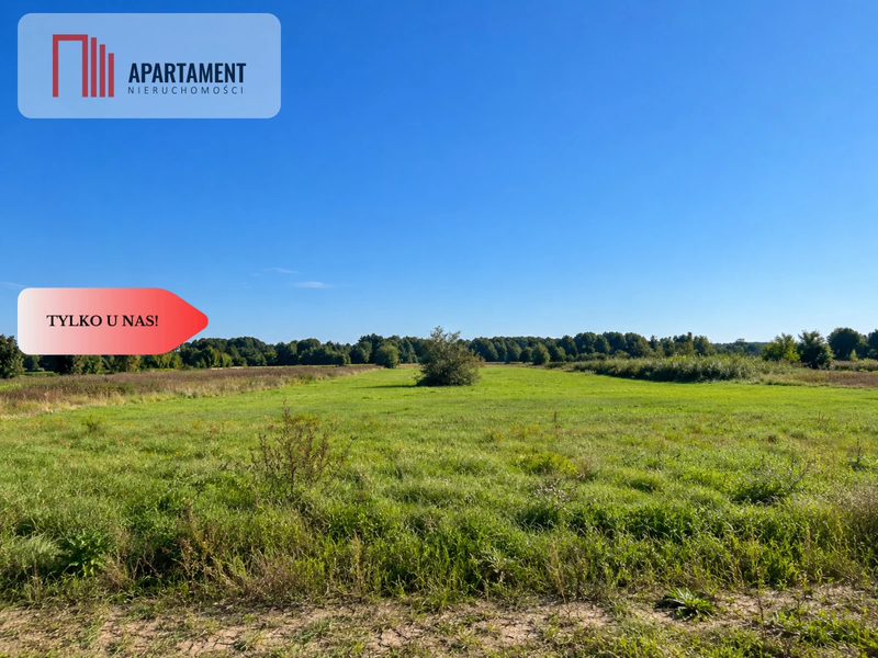 Łabiszyn | 1740 m² | WZ | Wszystkie media w drodze - dd_18eeaa1f_zs_841931_1.jpg