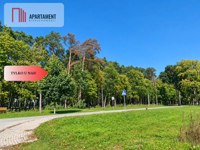 Łabiszyn | 1740 m² | WZ | Wszystkie media w drodze - 5