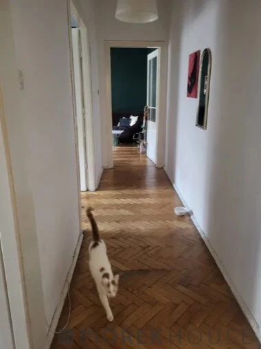 2-pokojowe mieszkanie  w Śródmieściu - 4